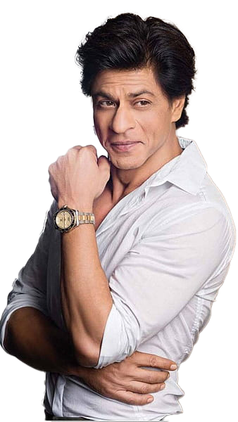 Bollywood Actor Shah Rukh Khan vinyl sticker decal - Many Sizes Available