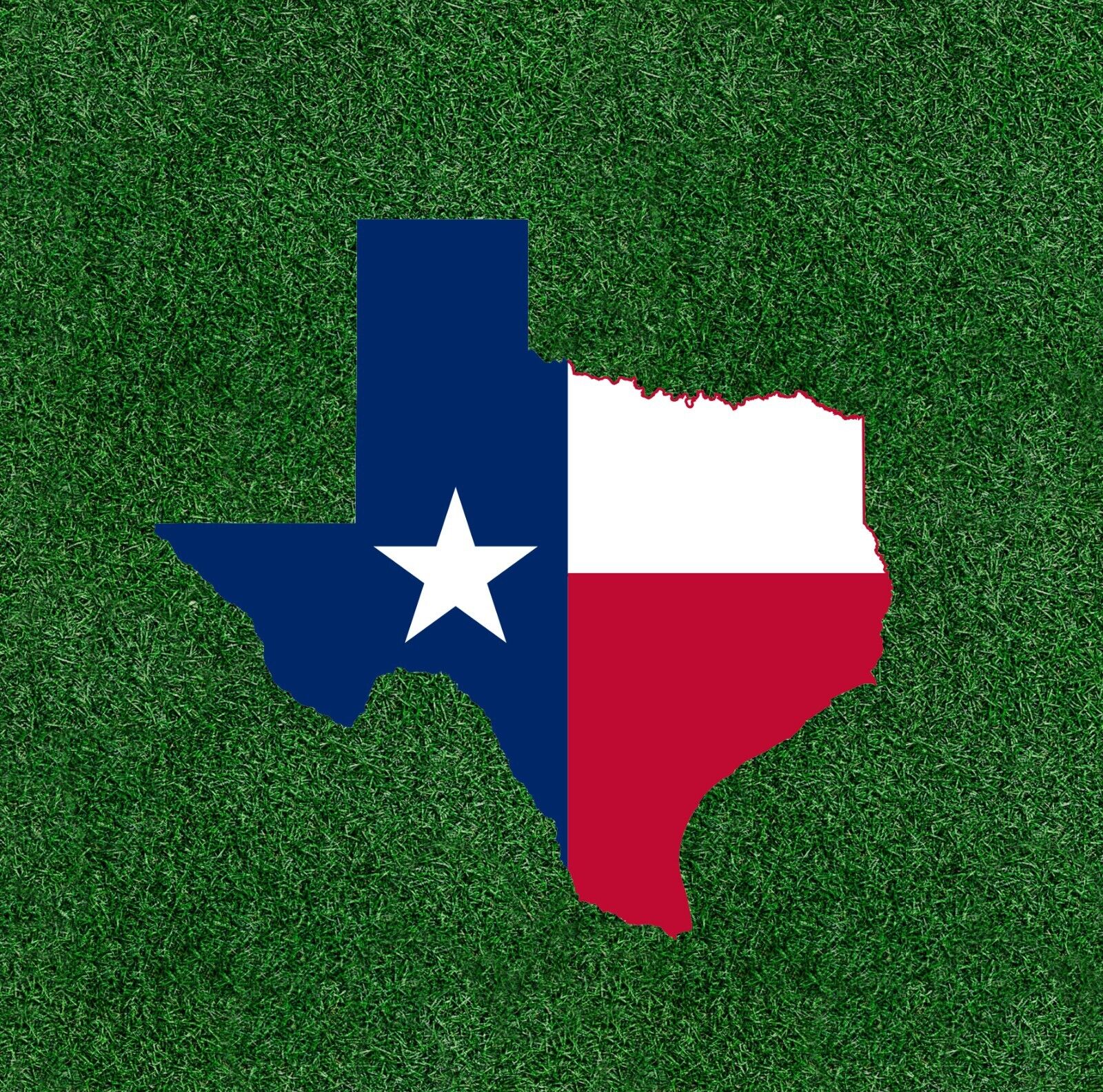 Texas State Flag sticker decal - many sizes available