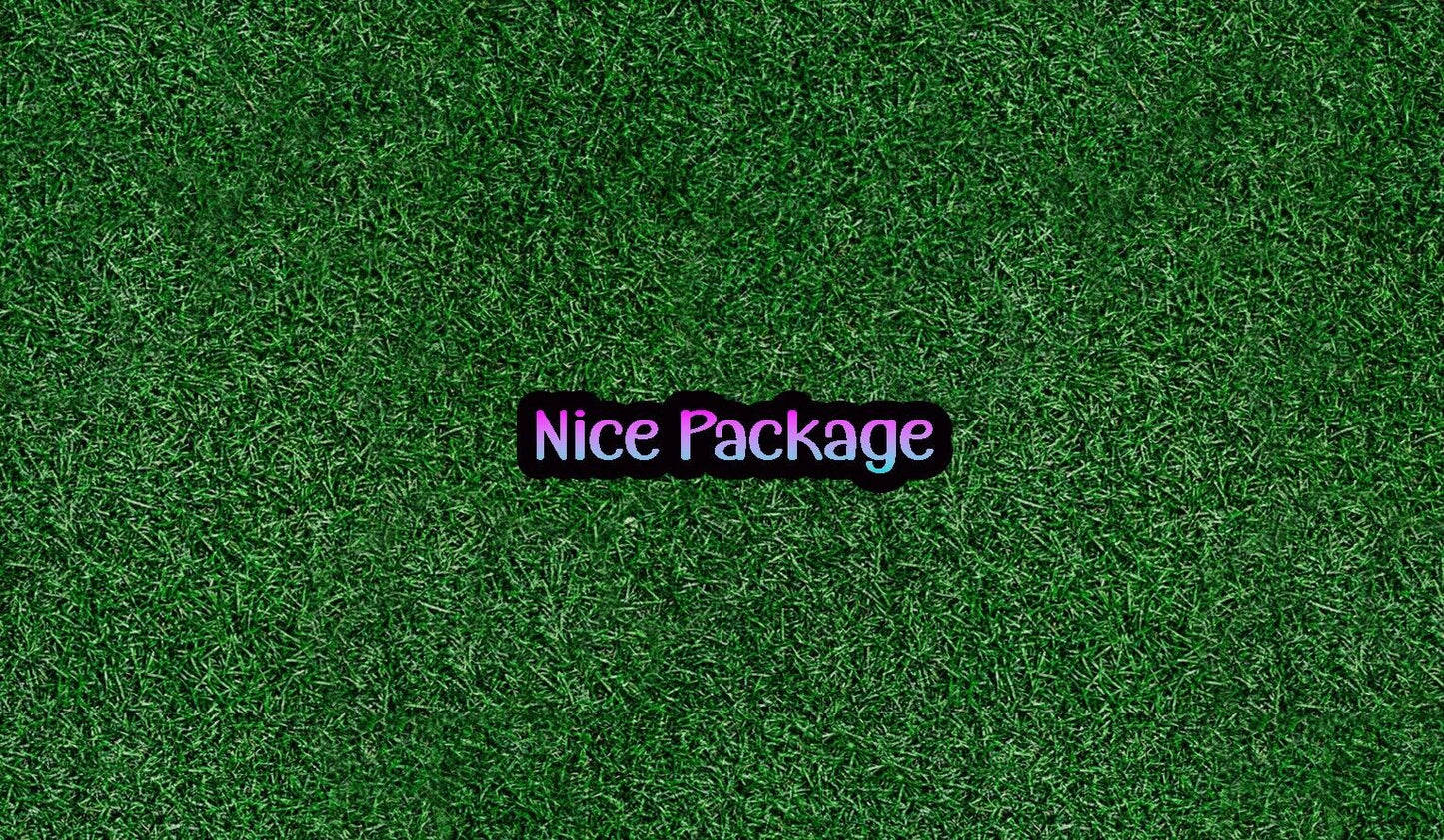 Humorous Sticker - "Nice Package" - 4 inches 