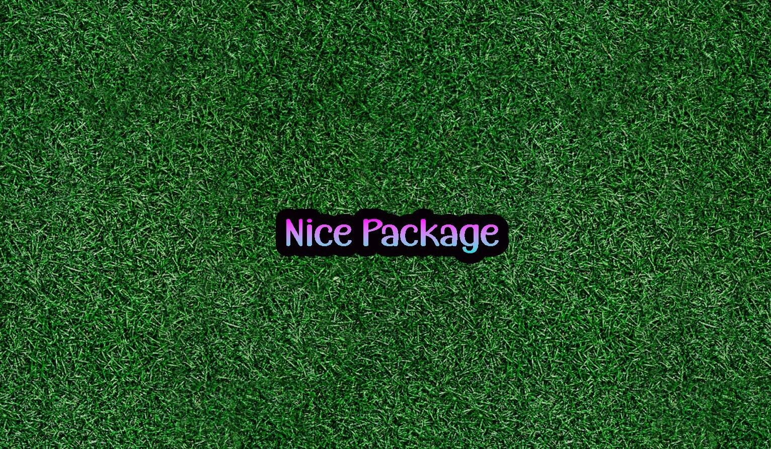 Humorous Sticker - "Nice Package" - 4 inches 