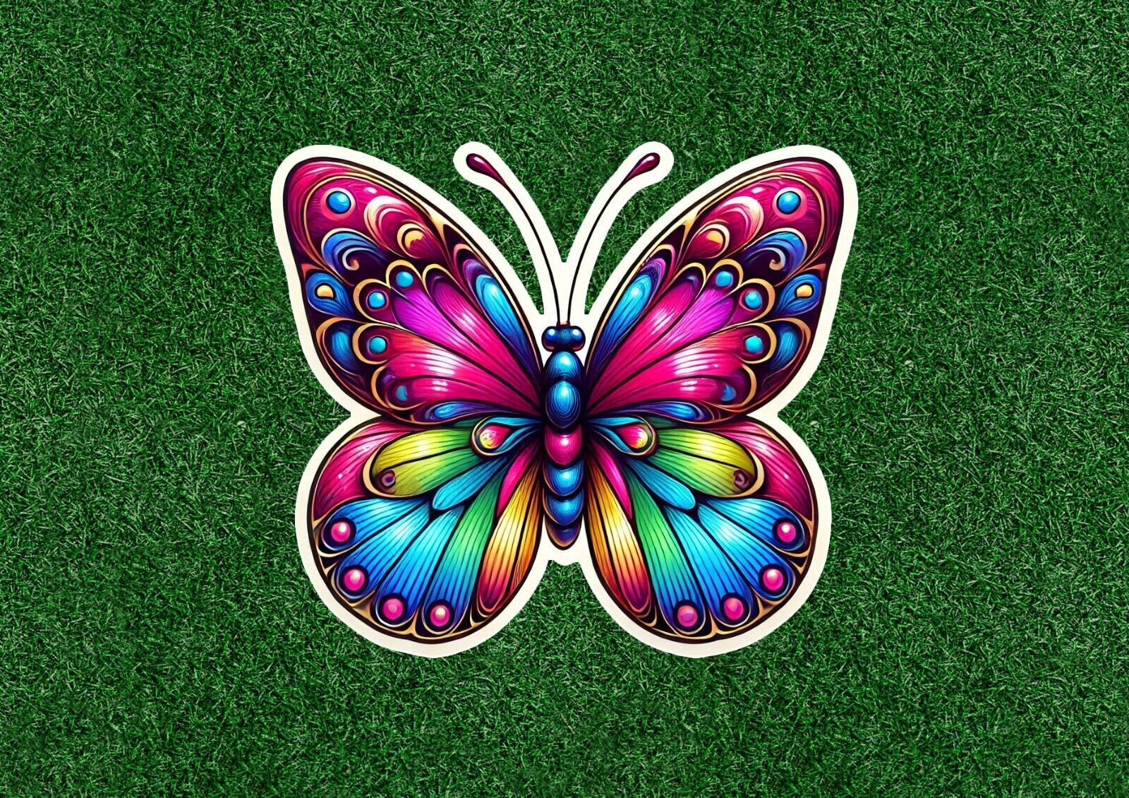 Beautiful Colorful Butterfly vinyl decal sticker decal - many sizes available