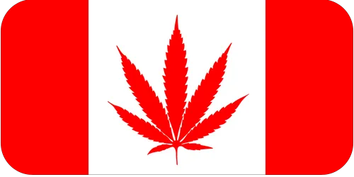 Canada Flag with Marijuana Leaf vinyl sticker decal - many sizes available