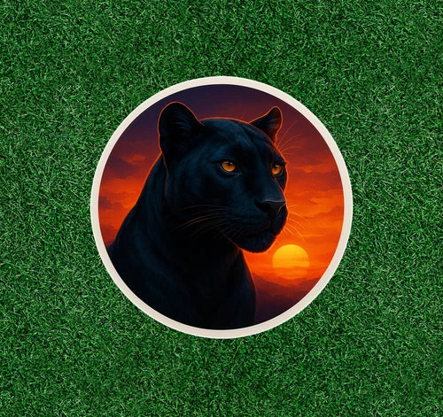 Beautiful Black Panther 100% waterproof vinyl sticker decal - many sizes