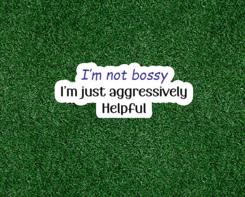 I'm Not Bossy, I'm Just Aggressively helpful! vinyl sticker - many sizes