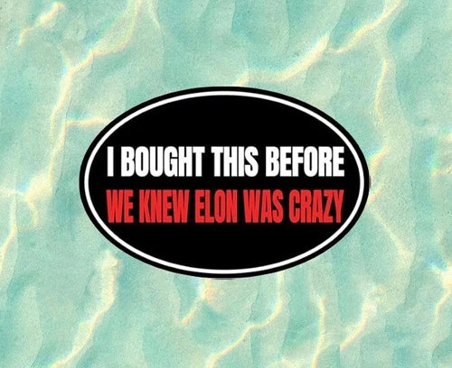 I bought this before we knew Elon was crazy - vinyl decal sticker - many sizes