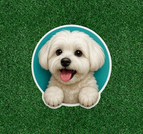 Cute Maltese dog waterproof vinyl sticker decal - many sizes available