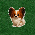 Cute Papillon dog 100% waterproof vinyl sticker decal - many sizes available